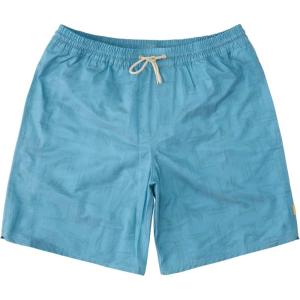 Quiksilver Mens Deck Stripe Volley Volley Swim Trunk Bathing Suit(Fin Party/Blue Moon)