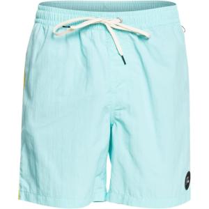 Quiksilver Mens Men’s Ginger Stalks Volley Elastic Waist Boardshort Swim Trunk(Ocean Beach Please/Angel Blue)