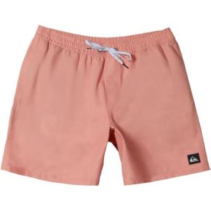 Quiksilver Men’s Standard Everyday Solid 17 Elastic Waist Volley Swim Trunk(Canyon Clay)