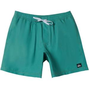 Quiksilver Men’s Standard Everyday Solid 17 Elastic Waist Volley Swim Trunk(Frosty Spruce)