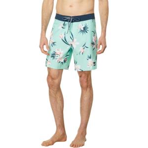 Quiksilver Mens Surfsilk Washed Sessions 18 Boardshort Swim Trunk(Beach Glass)