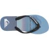 Quiksilver Boy’s Molokai Art Youth Flip-Flop(Blue 1)