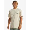 Quiksilver DNA Short Sleeve Surf Tee(Oyster White)