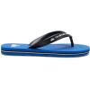 Quiksilver Unisex-Child Molokai Panel Youth 3 Point Sandal(Blue 1)
