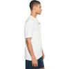 Quiksilver Men’s Diamond Arch Screen Tee(White)