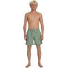 Quiksilver Mens Everyday Solid Volley 17(Lily Pad)