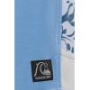 Quiksilver Men’s Original Arch 18 Boardshorts(Riviera)