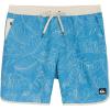 Quiksilver Men’s Swimwear Regular Fit Stretchable Comfort Liner Swim Trunks (S-XXL)(Floral Design – Airy Blue)