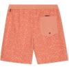 Quiksilver Men’s Swimwear Regular Fit Stretchable Comfort Liner Swim Trunks (S-XXL)(Graphic Design – Mineral Red)