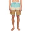 Quiksilver Mens Surfsilk Tijuana 19 Boardshorts(Bone White)