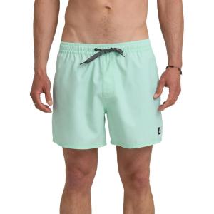 Quiksilver Mens Everyday Solid 15 Volley(Brook Green)