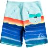 Quiksilver Men’s Everyday 20″ Board Shorts(Pool Green)