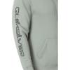 Quiksilver Men’s Omni Logo Hoodie Pull Over Hooded Fleece(Chinois Green)