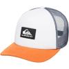 Quiksilver Mens Omnipotent Trucker Hat(Snow White)