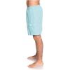 Quiksilver Mens Balance Volley 18 Swim Trunk Boardshort(Still Water)
