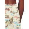 Quiksilver Men’s Everyday Mix 17 Nb Volley(Silver Birch)