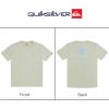 Quiksilver Men’s Regular Fit Soft Cotton Short Sleeve T-Shirt (S-XL)(Light Sage)
