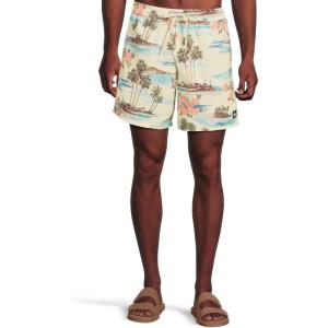 Quiksilver Men’s Everyday Mix 17 Nb Volley(Silver Birch)