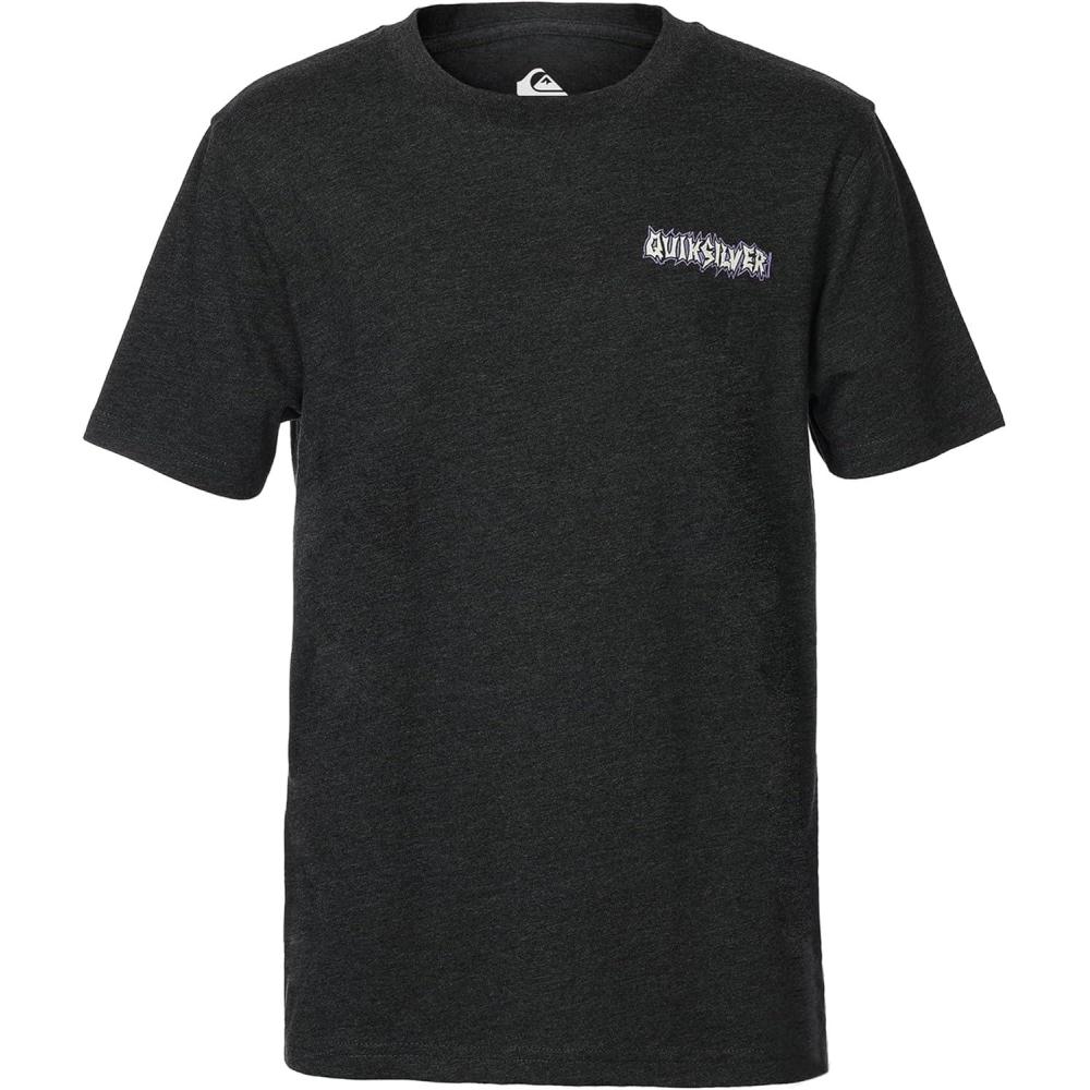 image:imageQuiksilver Boys Short Sleeve Logo Graphic TShirt Soft amp Comfortable Regular FitBlack Heather Paradise