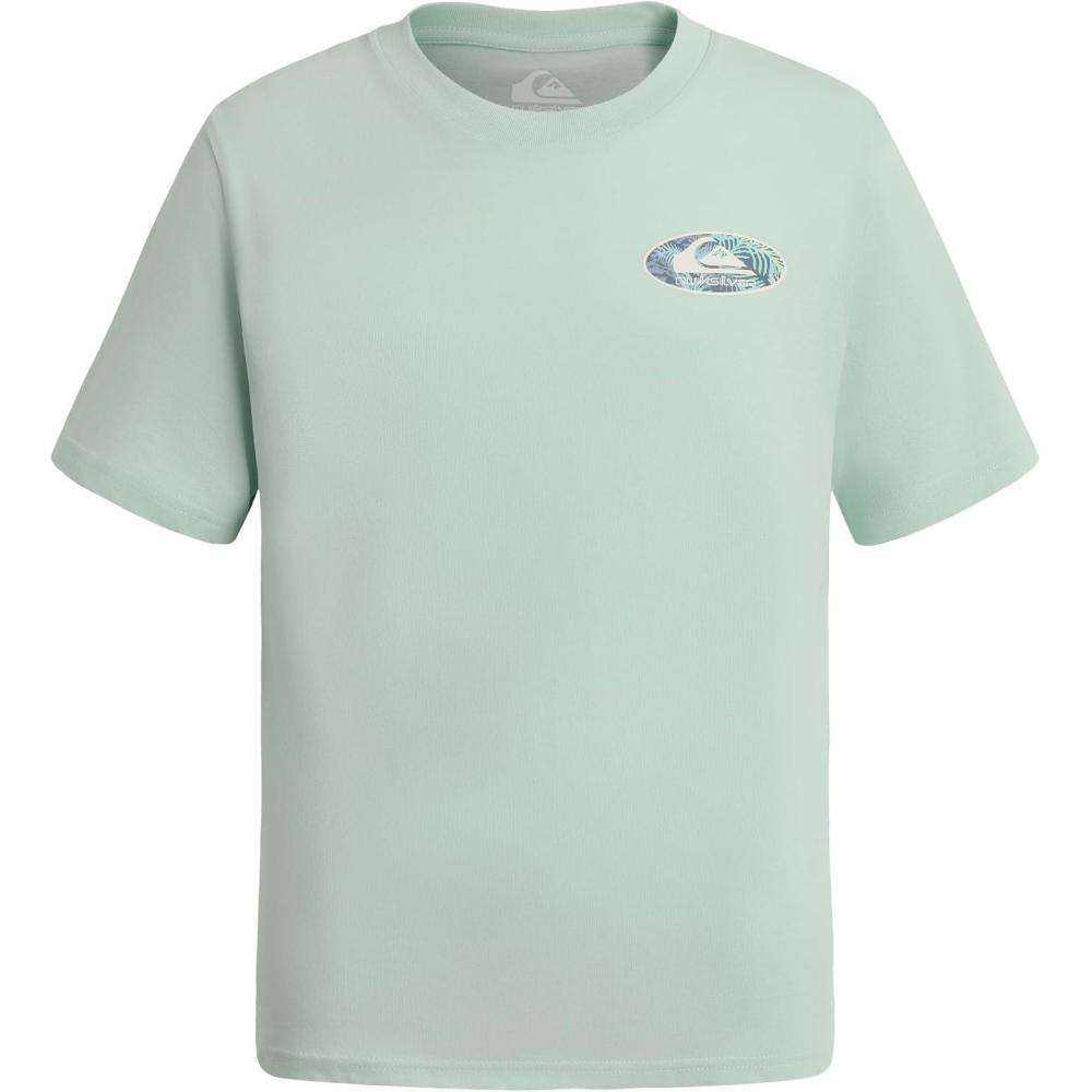 image:imageQuiksilver Boys Short Sleeve Logo Graphic TShirt Soft amp Comfortable Regular FitMist Green Link
