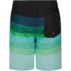 Quiksilver Boys’ Boardshorts with UPF 50+ Sun Protection, Quick Dry Swim Shorts(Angel Everyday)