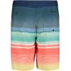 Quiksilver Boys’ Boardshorts with UPF 50+ Sun Protection, Quick Dry Swim Shorts(Navy Stripe)
