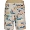 Quiksilver Boys’ Boardshorts with UPF 50+ Sun Protection, Quick Dry Swim Shorts(Silver Slow Daze)