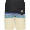 Quiksilver Boys’ Boardshorts with UPF 50+ Sun Protection, Quick Dry Swim Shorts(Surfsilk Phantom)
