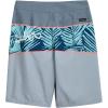 Quiksilver Boys’ Boys Everyday Panel (Big Kid)(Iron)