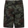 Quiksilver Boys’ Pull-on Amphibian Hybrid Shorts, Comfort Stretch Fabric, Water Friendly(Grape Leaf Eddie)