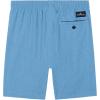 Quiksilver Boys’ Pull-on Amphibian Hybrid Shorts, Comfort Stretch Fabric, Water Friendly(Niagra Heather Eddie)