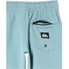 Quiksilver Boys’ Quiksilver Boy’s Taxer Amphibian 13 Hybrid Short Youth(Cadet Gray 241)