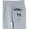 Quiksilver Boys’ Quiksilver Boy’s Taxer Amphibian 13 Hybrid Short Youth(Quarry 241)