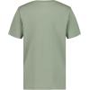 Quiksilver Boys’ Short Sleeve Screen Print Graphic T-Shirt, Soft & Comfortable, Regular Fit(Truck Lily Pad)
