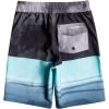 Quiksilver Boys’ Surfsilk Five 0 14 Boardshort Swim Trunk Bathing Suit(Black)