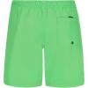 Quiksilver Boys’ Volley Swim Trunks with Compression Liner, UPF 50+ Sun Protection, Quick Dry Bathing Suit Shorts(Paradise Green)