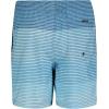 Quiksilver Boys’ Volley Swim Trunks with UPF 50+ Sun Protection, Quick Dry Bathing Suit Shorts(Aqua Sky Massive)