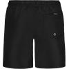 Quiksilver Boys’ Volley Swim Trunks with UPF 50+ Sun Protection, Quick Dry Bathing Suit Shorts(Black)