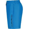 Quiksilver Boys’ Volley Swim Trunks with UPF 50+ Sun Protection, Quick Dry Bathing Suit Shorts(Blithe)
