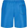 Quiksilver Boys’ Volley Swim Trunks with UPF 50+ Sun Protection, Quick Dry Bathing Suit Shorts(Blithe)
