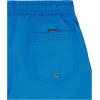 Quiksilver Boys’ Volley Swim Trunks with UPF 50+ Sun Protection, Quick Dry Bathing Suit Shorts(Blithe)