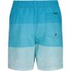 Quiksilver Boys’ Volley Swim Trunks with UPF 50+ Sun Protection, Quick Dry Bathing Suit Shorts(Blue Horizon)