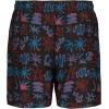 Quiksilver Boys’ Volley Swim Trunks with UPF 50+ Sun Protection, Quick Dry Bathing Suit Shorts(Phantom)