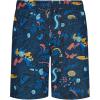 Quiksilver Boys’ Volley Swim Trunks with UPF 50+ Sun Protection, Quick Dry Bathing Suit Shorts(Phantom Everyday)