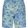 Quiksilver Boys’ Volley Swim Trunks with UPF 50+ Sun Protection, Quick Dry Bathing Suit Shorts(Stormy Seas)