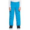 Quiksilver Estate Kids Snowboard Pants(Brilliant Blue)