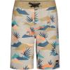 Quiksilver Boys’ Boardshorts with UPF 50+ Sun Protection, Quick Dry Swim Shorts(Silver Slow Daze)