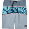 Quiksilver Boys’ Boys Everyday Panel (Big Kid)(Iron)