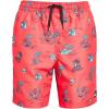 Hot Coral