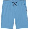 Quiksilver Boys’ Pull-on Amphibian Hybrid Shorts, Comfort Stretch Fabric, Water Friendly(Niagra Heather Eddie)